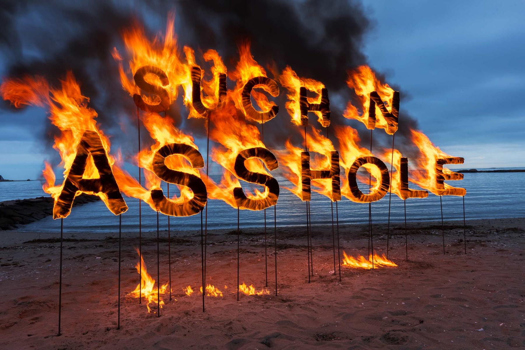 such n asshole

20" x 30" pigment print
edition 15

2019

 : COMMON : Salem Krieger