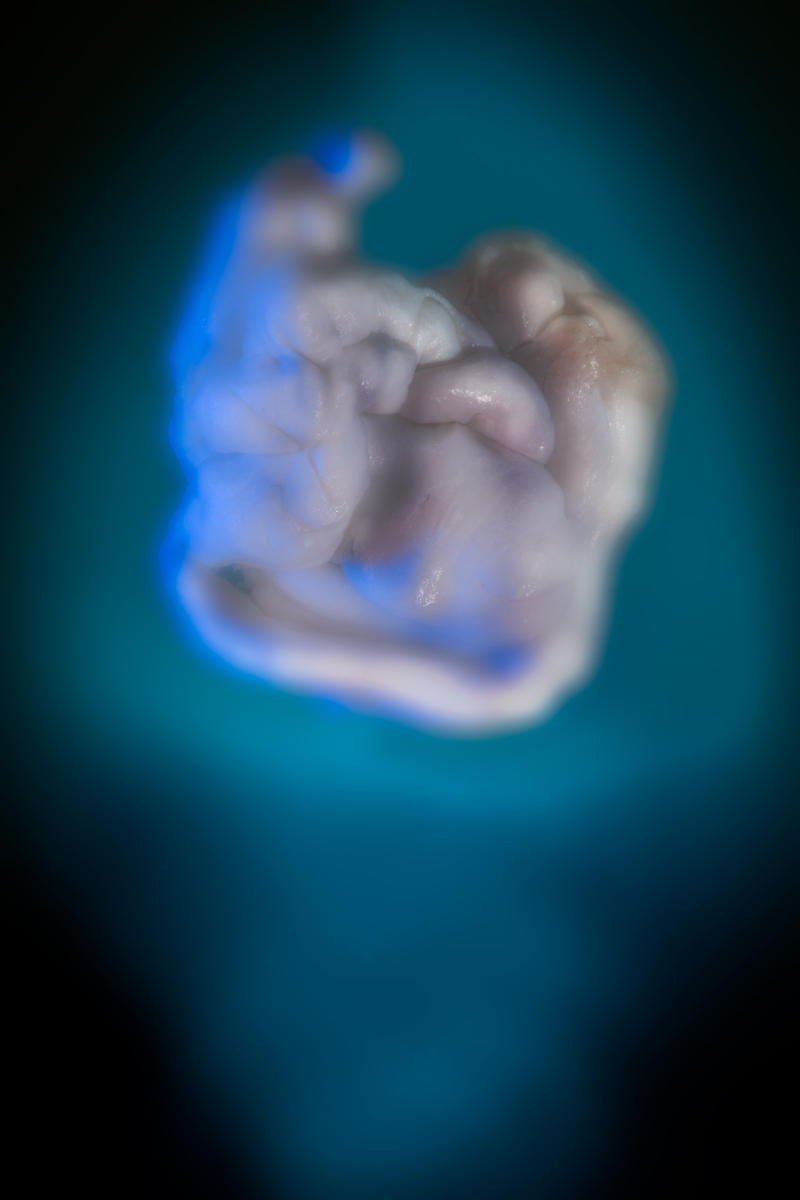  2050 is too late.
photograph
chewed gum
20" x 30"
2023 : CHEW ON THIS : Salem Krieger