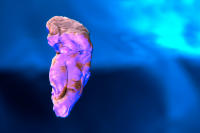 At some point, everyone loses someone.
photograph
chewed gum
20" x 30"
2023 - copyright 2024 salem krieger 