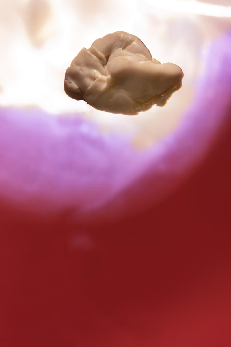 Will Amazon workers be sent to the Moon to work at minimum wages and will they be charged for oxygen refills?
photograph
chewed gum
20" x 30"
2023 : CHEW ON THIS : Salem Krieger