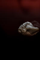 A mother at a border crossing with children who are hungry.
photograph
chewed gum
20" x 30"
2023 - copyright 2024 salem krieger 