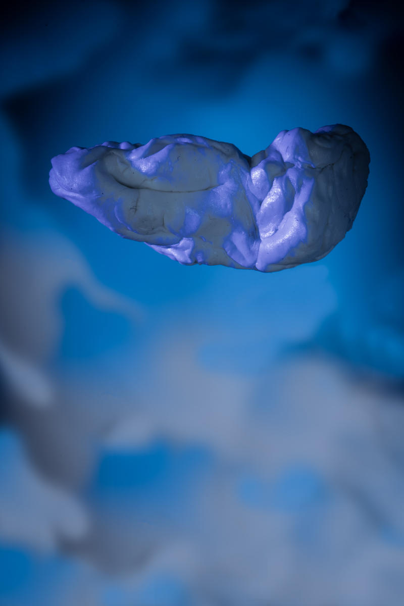 Why would aliens want to visit us?
photograph
chewed gum
20" x 30"
2023 : CHEW ON THIS : Salem Krieger