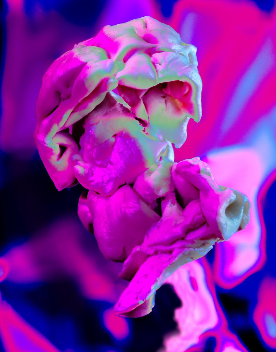 This is the life I choose with influences from numerous others.
photograph
chewed gum
20" x 30"
2023 : CHEW ON THIS : Salem Krieger