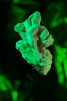 What is it like to be homeless in a big city?
photograph
chewed gum
20" x 30"
2023 - copyright 2024 salem krieger 