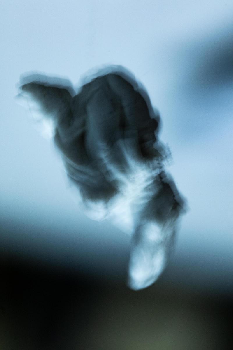 Not Sure Just Yet
photograph
chewed gum
20" x 30"
2023 : CHEW ON THIS : Salem Krieger