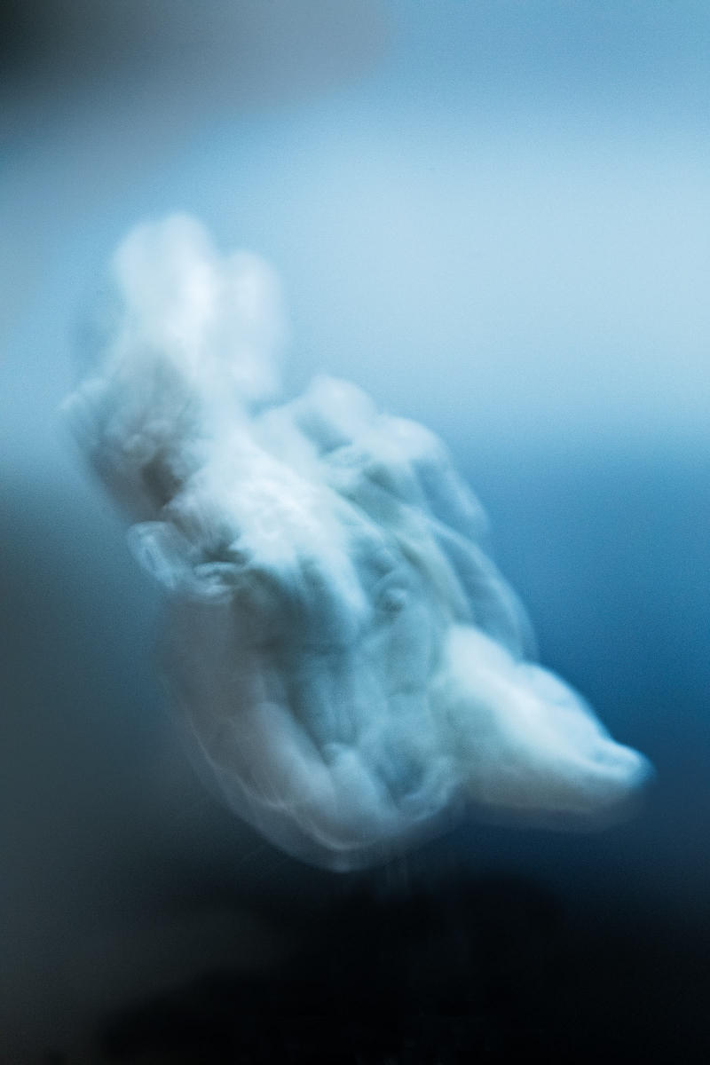 Of all the Possibilities.
photograph
chewed gum
20" x 30"
2023 : CHEW ON THIS : Salem Krieger