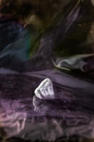 What if religion was not part of the equation?
photograph
chewed gum
20" x 30"
2023 - copyright 2024 salem krieger 