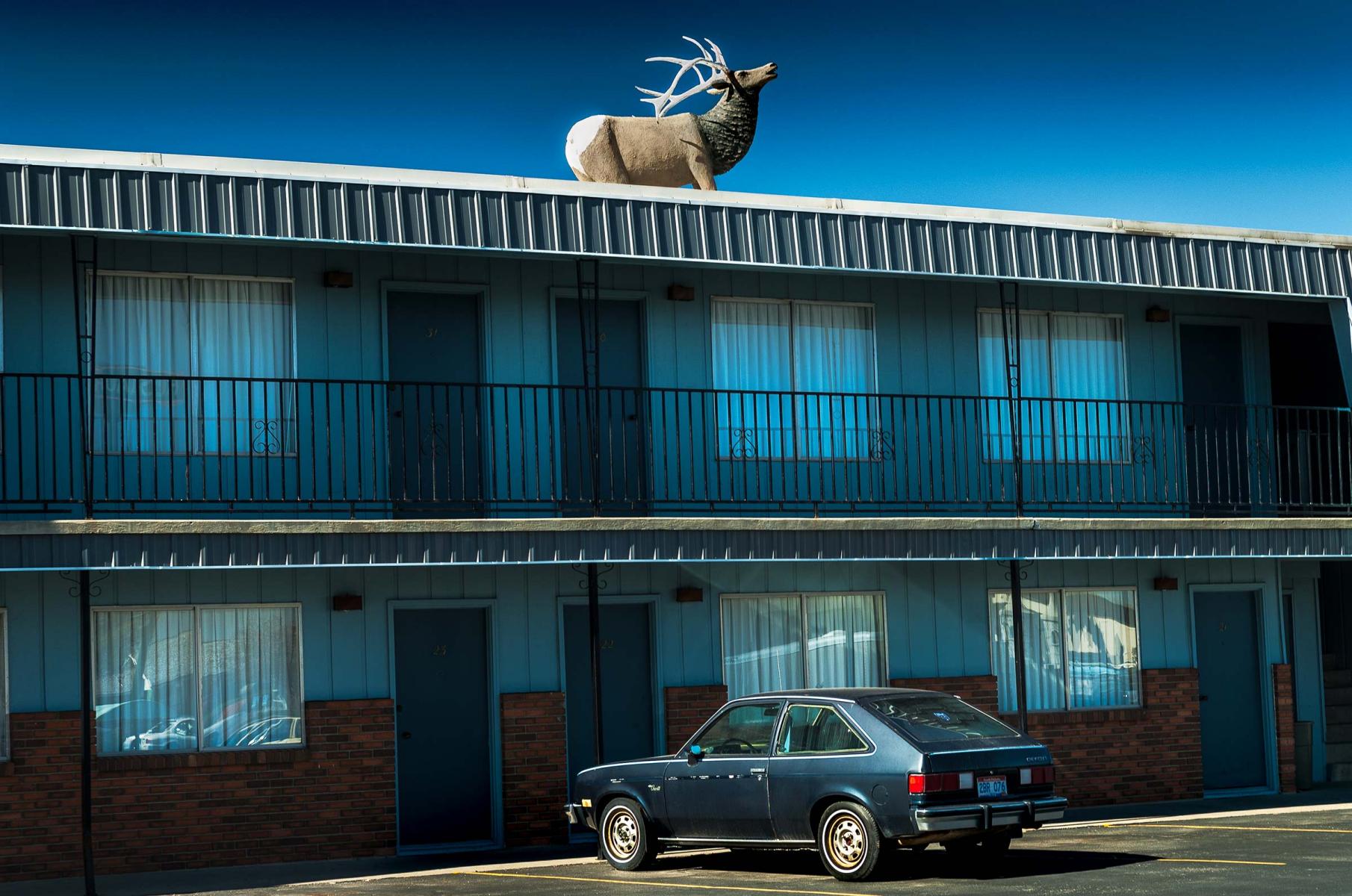Auto America photo series.. Moose Motel South Dakota. : THOUGHTS of the MOMENT : Salem Krieger