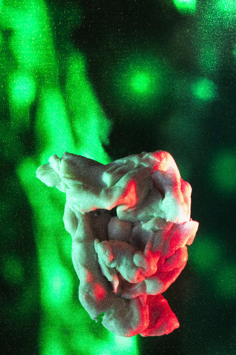 Who Made Money During War
photograph
chewed gum
20" x 30"
2023 : CHEW ON THIS : Salem Krieger