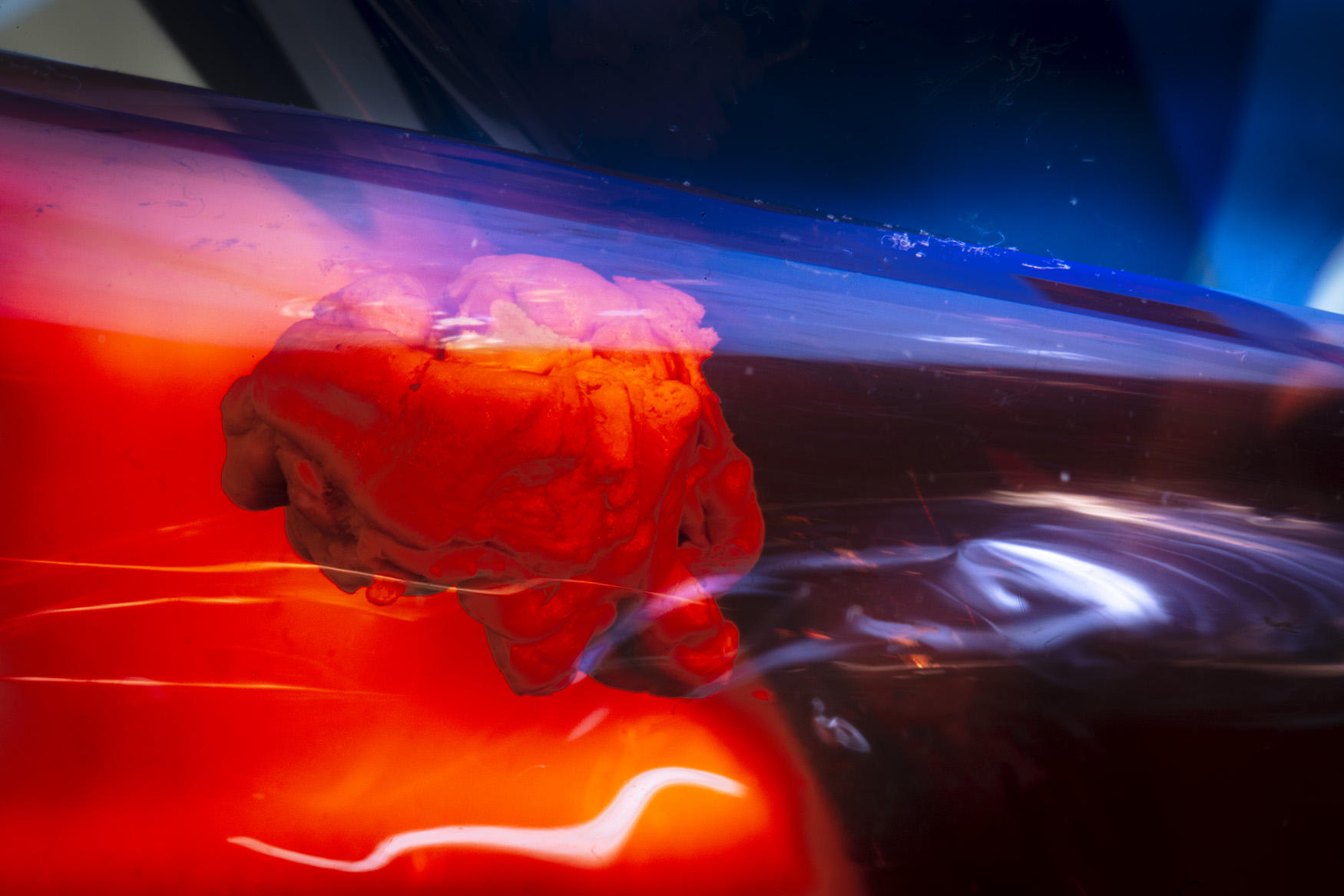 Thinking Future Who Knows
photograph
chewed gum
30" x 40"
2023 : CHEW ON THIS : Salem Krieger