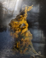Monument to Pass Present Future -1
photograph
chewed gum
30" x 40"
2023 - copyright 2024 salem krieger 