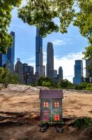 untitled 2024- Central Park New York City  - copyright 2024 salem krieger 