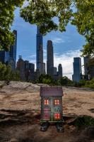 From Wall Street to Main Street -3 photo series. Central Park, New York City. - website © 2025 salem krieger 
